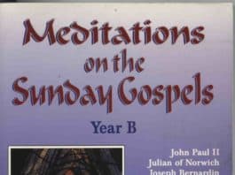 Meditations on the Sunday Gospels 2