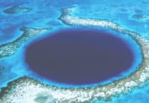 BELIZE BECOMES A WORLD LEADER IN OCEAN PROTECTION