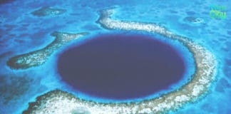 BELIZE BECOMES A WORLD LEADER IN OCEAN PROTECTION