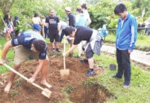 Youth helping in tree planting projects