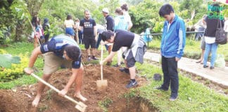Youth helping in tree planting projects