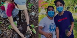 Bohol diocese plants 60k trees in a single day