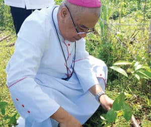 Bishop Alminaza planting a tree sapling
