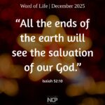 box-wol-dec-2025