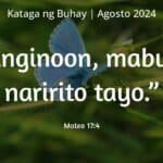 fb-KNB-aug-2024