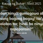 knb-fb-apr-25
