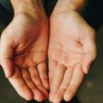 open palms andrew-moca-olmY3NkTY_M-unsplash