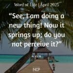 wol-box-apr-2025
